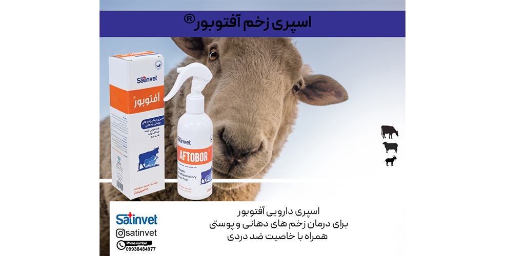 قبل و بعد