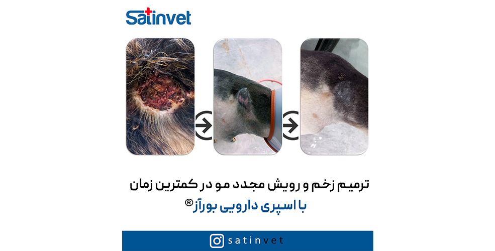 قبل و بعد اسپری بورآز