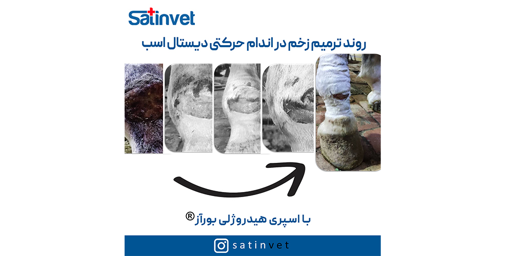 بعد و قبل 