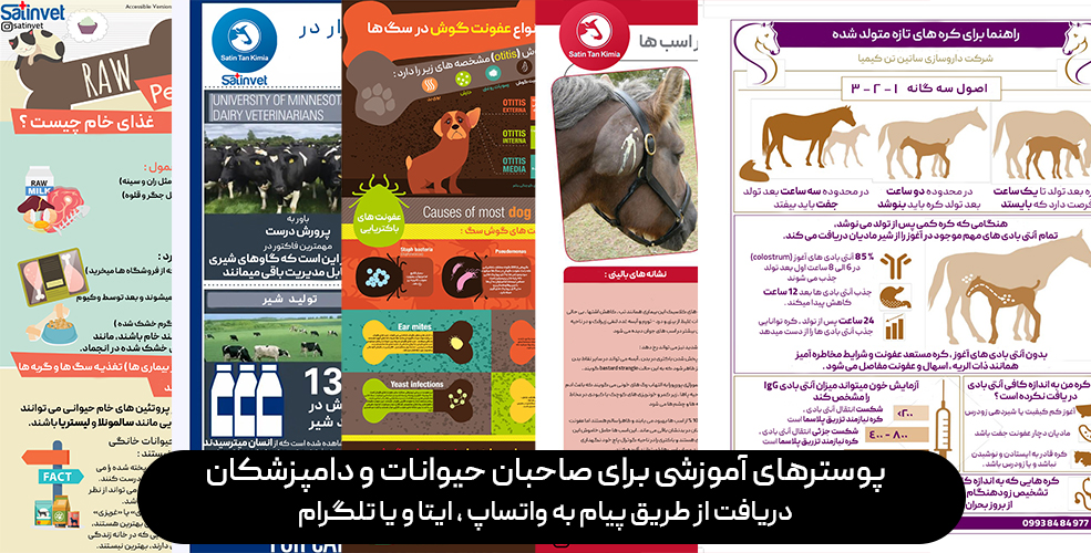 پوسترهای آموزشی 